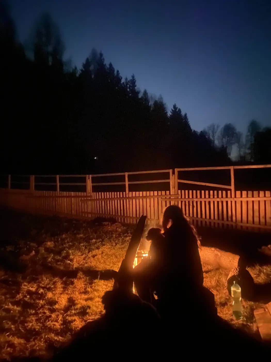 Zvířecí obyvatelé u přístřešku
