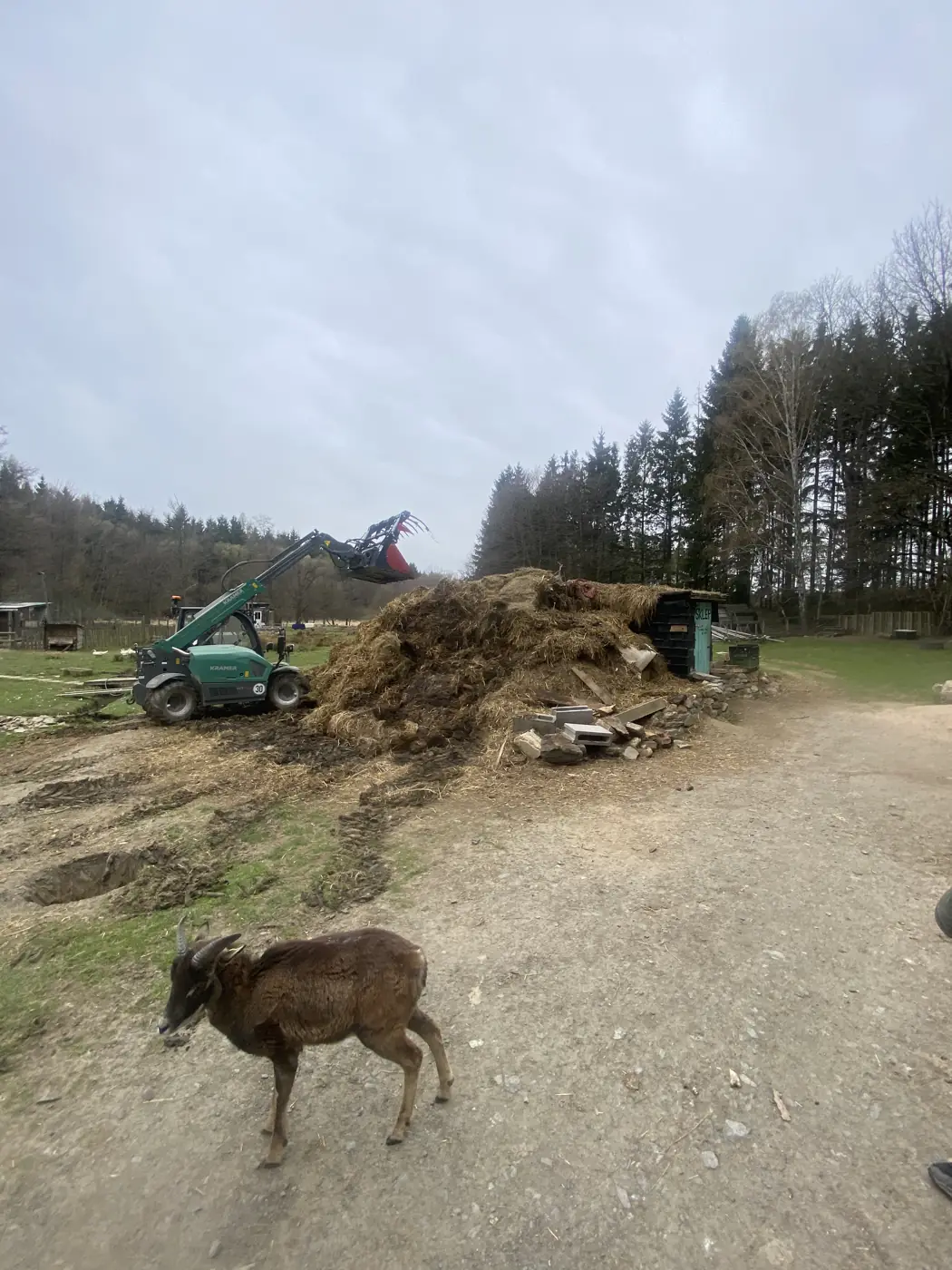 Eduard