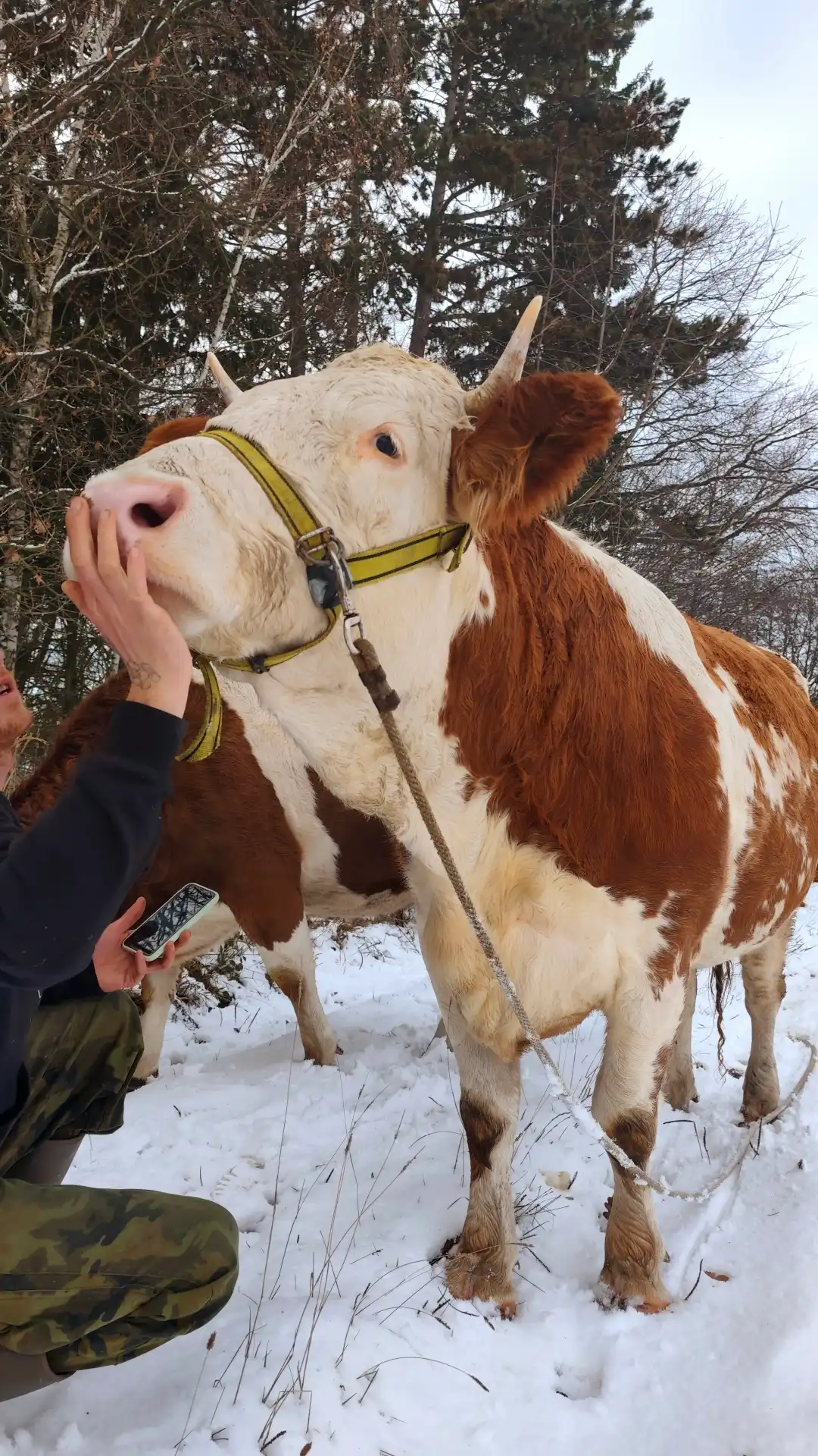 Kouzelná procházka se zvířátky